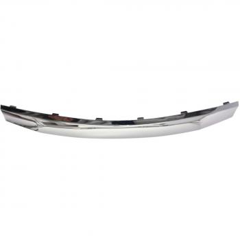 Listón embellecedor protector de radiador BLIC 6502-07-1302991P