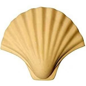 BY ON Gancho de pared de concha, blanco, polirresina, 15 x 5 x 13 cm, para la chaqueta, el abrigo o la toalla, accesorio ideal para el perchero de pared