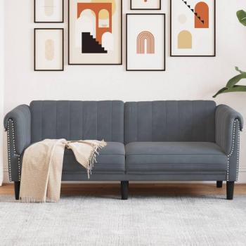 Sofá de 2 plazas terciopelo gris oscuro vidaXL - Asiento cómodo