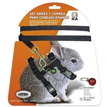 ICA DA1023 Set de Arnés y Correa para Conejos Enanos, Negro