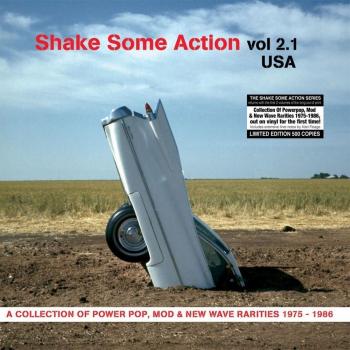 Shake Some Action 2.1 USA: Various Artists Vinyl Collection