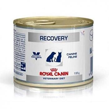 RECOVERY FEL/CAN. 12X195 GR