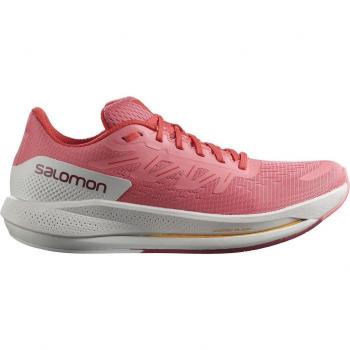 Zapatillas de running de mujer Spectur Salomon