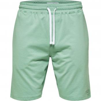 Selected Slhorion Casual Shorts