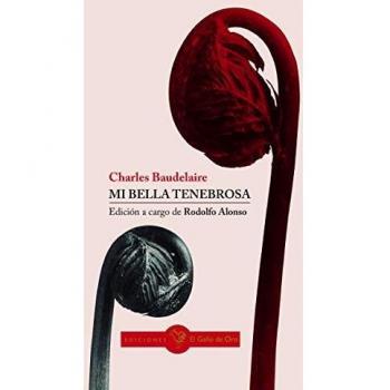 Mi bella tenebrosa