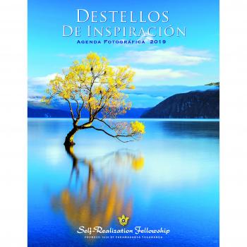 Destellos de inspiración. Agenda fotográfica 2019