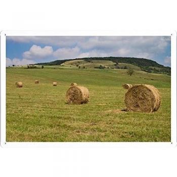 Metal cartel Cartel de chapa Hojalata sesión #30949 Hay Bales On The Field Retro Vintage Pared Decoración by hamgaacaan