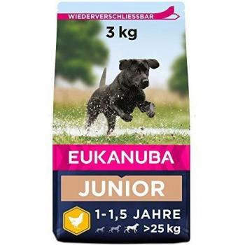 Eukanuba Alimento seco para perros jóvenes de raza grande, rico en pollo fresco 3 kg