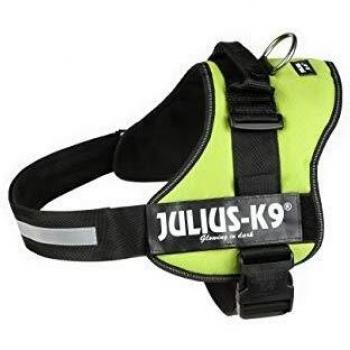 Julius-K9 162KW-3 - Arnés para Perros, Verde