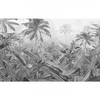 Fototapiz No Tejido Amazonia Blanco y Negro 400x250 cm
