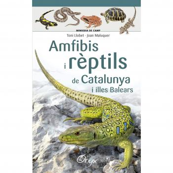 Amfibis I Rèptils De Catalunya I Illes Balears - Llobet, Toni/ Maluquer, Joan