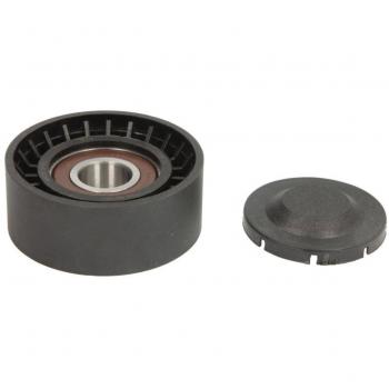 Polea tensora/guía correa trapezoidal y poli V BTA E2W0061BTA