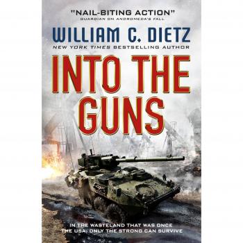 Into the Guns