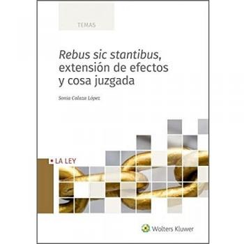 Rebus Sic Stantibus, Extensión De efectos y Cosa Juzgada