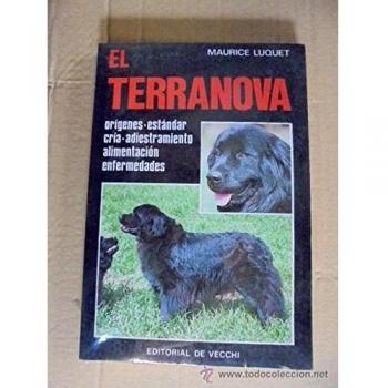Terranova, el