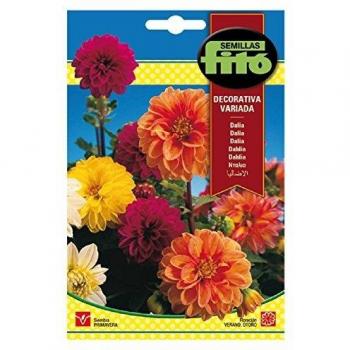 Semillas Fitó 616 - Semillas de Dalia Decorativa Variada