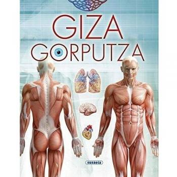 Giza gorputza - SUSAETA, TALDEAK