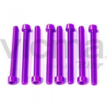 PRO-BOLT - 42423 : Kit Tornillos Allen Cabeza Cilíndrica M6 X 50Mm