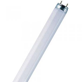 Tubo LED 15W 954 Luz Diurna Osram