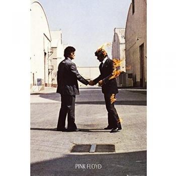 GB eye LTD, Pink Floyd, Wish You were Here, Maxi Poster, 61 x 91,5 cm