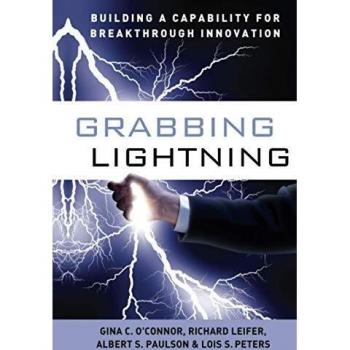 Grabbing Lightning: Building a Capability for Breakthrough Innovation