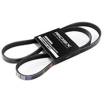 Correa trapecial poli V RIDEX 305P0023 para VW, AUDI, RENAULT - Longitud 1238mm, Ancho 14.2mm