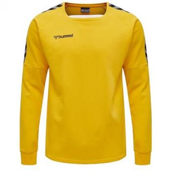 Hummel hmlAUTHENTIC Training Sweatshirt