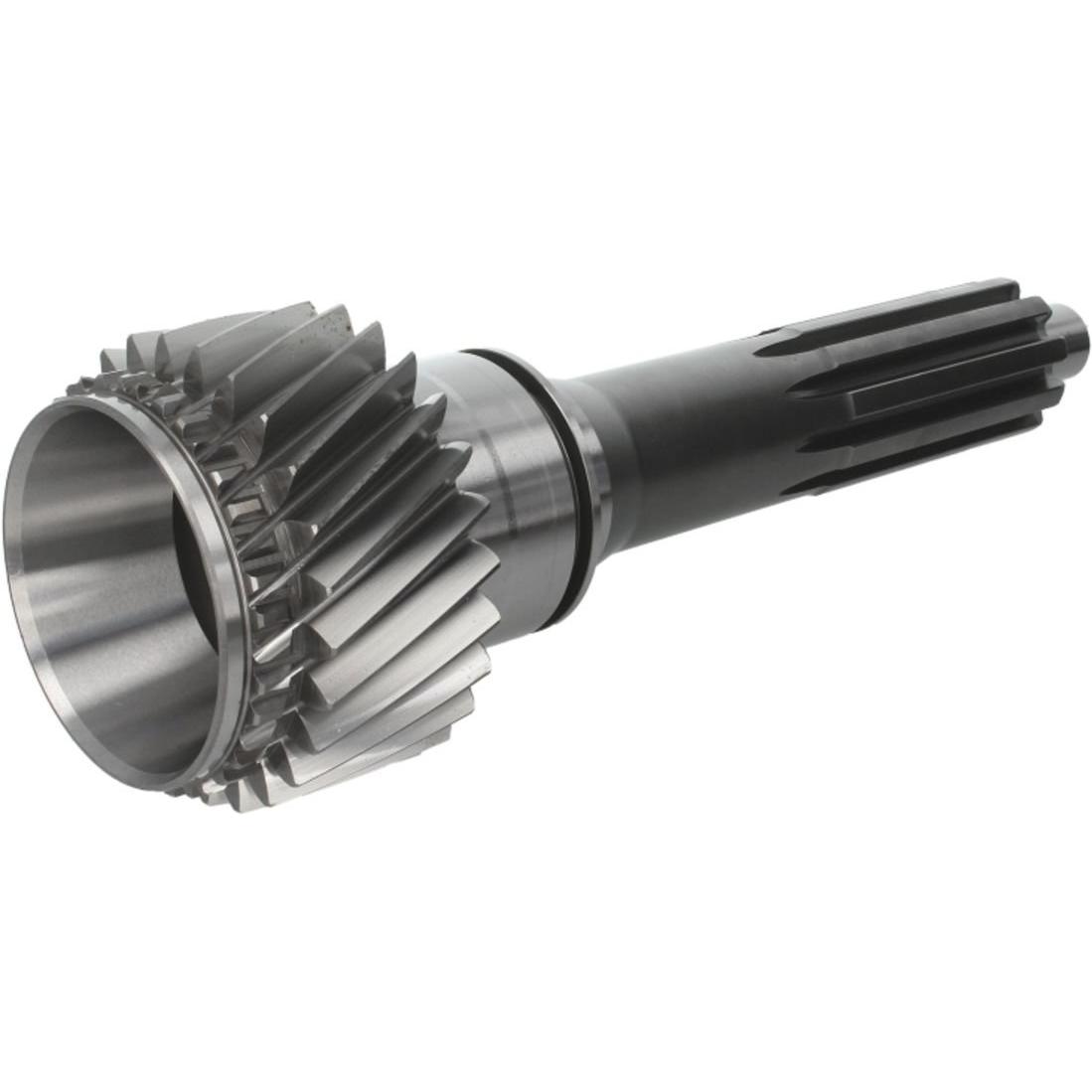 Imagen Principal