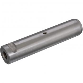 Perno de resorte y ballesta FEBI BILSTEIN 09579 - Alta calidad, fabricado en acero, resistencia a la corrosión, diseño optimizado para una instalación fácil y un rendimiento duradero