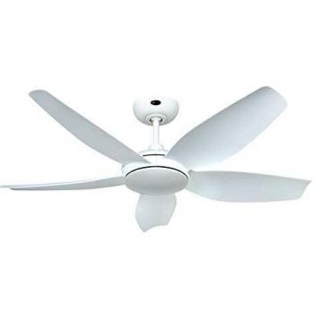 CasaFan 9669511681 WE-WE - Ventilador de techo con aspas