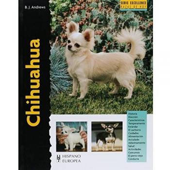 Chihuahua