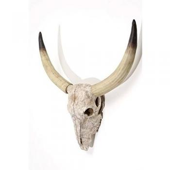 Toros cabeza natur-óptica, 52 x 12.5 x 38 cm Plástico