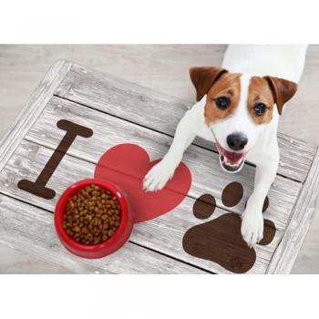 Alfombra de Vinilo Impermeable para Mascotas I Love 48x75 cm