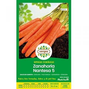 Vergea - Zanahoria Nantesa 5
