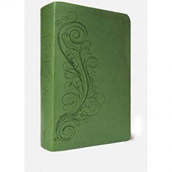 The New Inductive Study Bible