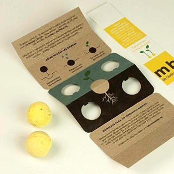 Pack 2 Bombas de semillas Nendo Dango Salvemos a las abejas