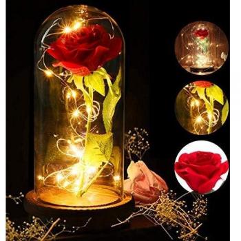 JUSTDOLIFE Rosa Eterna, La Bella y la Bestia Kit de Rosas y luz LED con Pétalos Caídos en la Cúpula de Vidrio en la Base de Madera para la Decoración del Hogar Boda Cumpleaños