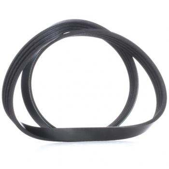 Correa trapecial poli V FEBI BILSTEIN 28789