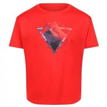 Camiseta Alvarado VI Montaña para Niños/Niñas Regatta