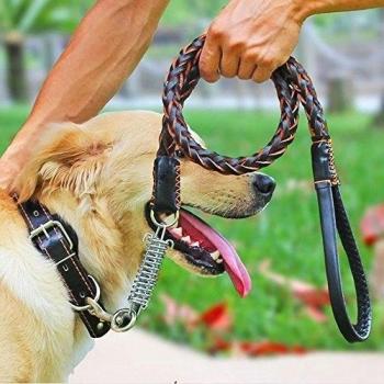 TOPMOOM Correa Cuero de Perro, Correa de Cuero Trenzada de Adiestramiento para Perros Grandes Medianos con Muelles de Amortiguación, Negro