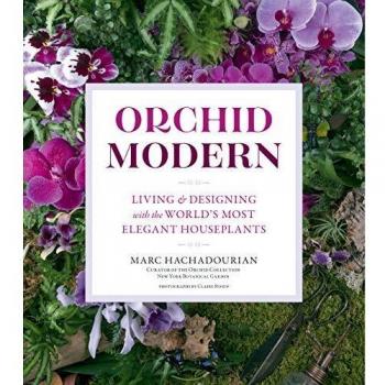 Orchid modern living and designing with the worlds most elegant houseplants