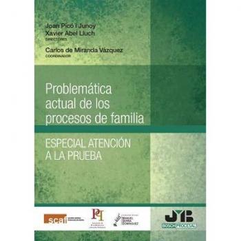 Problemática actual de los procesos de familia. Especial atención a la prueba