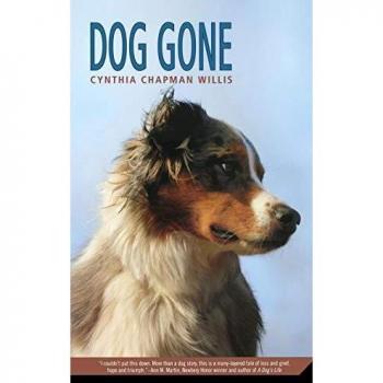 Dog Gone: An Illustrated Adventure for Kids