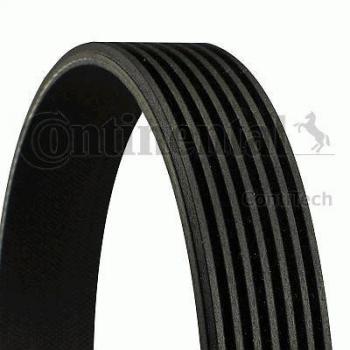 Correa acanalada en V y trapecial poli V CONTITECH 7PK1153, longitud de 1153 mm, perfil de 7 pistas