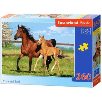Castorland CSB27064 Classic Mare and Foal Jigsaw Puzzle, 260 Pieces Set, Multicolour