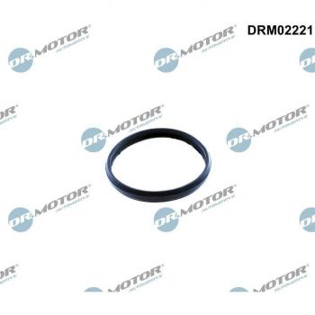 Junta de estanqueidad para tensor de cadena de distribución DR.MOTOR AUTOMOTIVE DRM02221