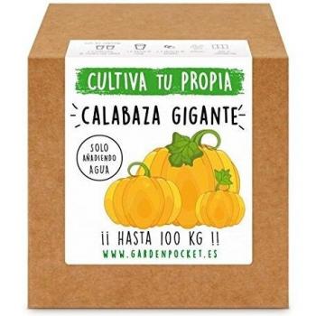 Garden Pocket - Kit Cultivo Calabaza Gigante