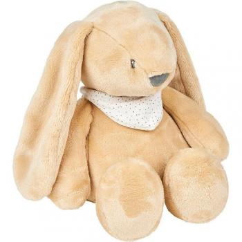 Peluche Nattou Luz Bunny