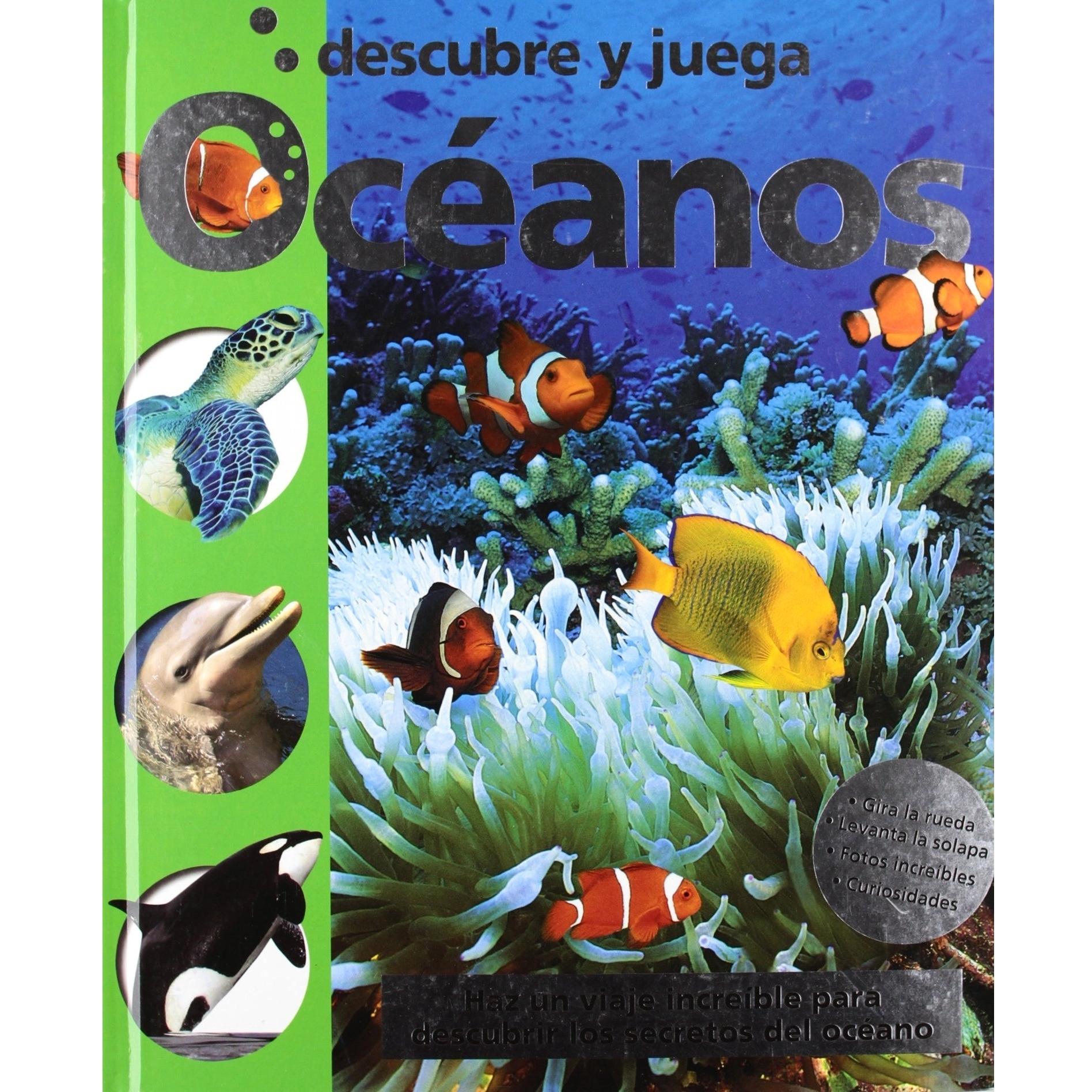 Imagen Principal