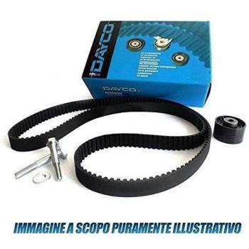 Kit de distribución DAYCO KTB135 con polea, compatible con PEUGEOT Expert, CITROËN Jumpy y Dispatch, FIAT Scudo, Punto, Uno, Tipo, Tempra y Fiorino